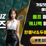 WBC247 최신 주소 확인 방법과 접속 전 알아둘 사항