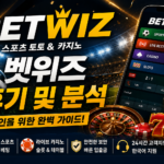 A review on the BETWIZ casino website
