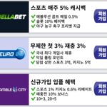 토토사이트