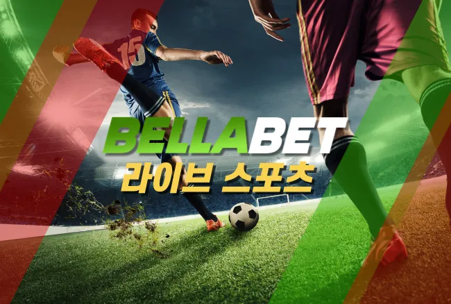 벨라벳 다양한 게임 콘텐츠와 이용 전 확인사항