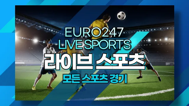 유로247 최신 주소 찾기와 접속 전 확인해야 할 사항